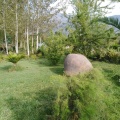 IMG_20190313_100013.jpg